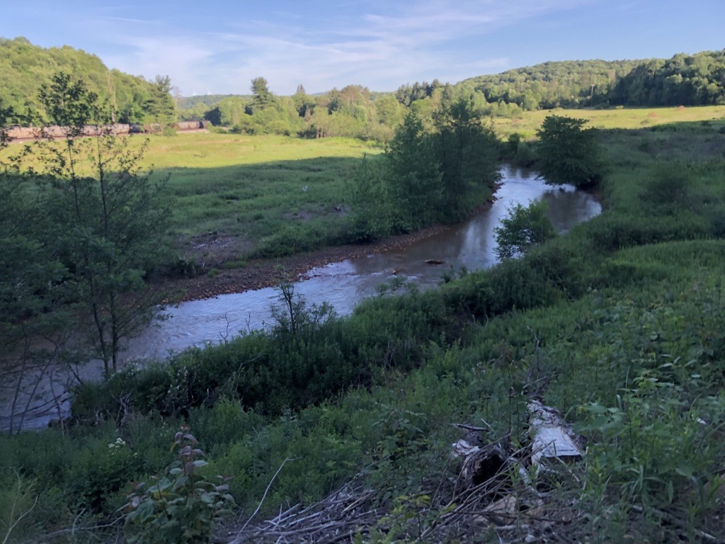 South Fork of the Little Conemaugh Stream in the lakebed