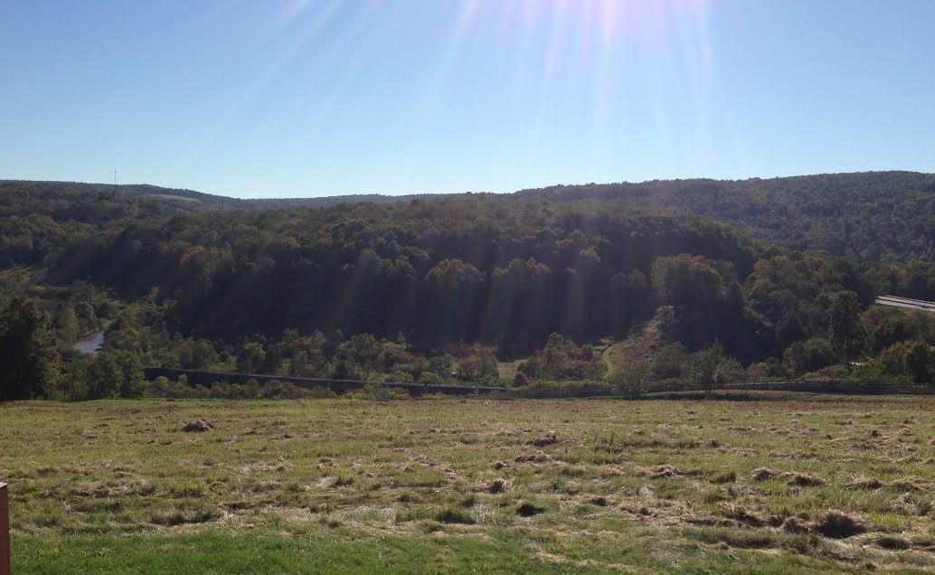 78903728_3340114349337921_493781377724973056_o The lakebed at Johnstown Flood National Memorial