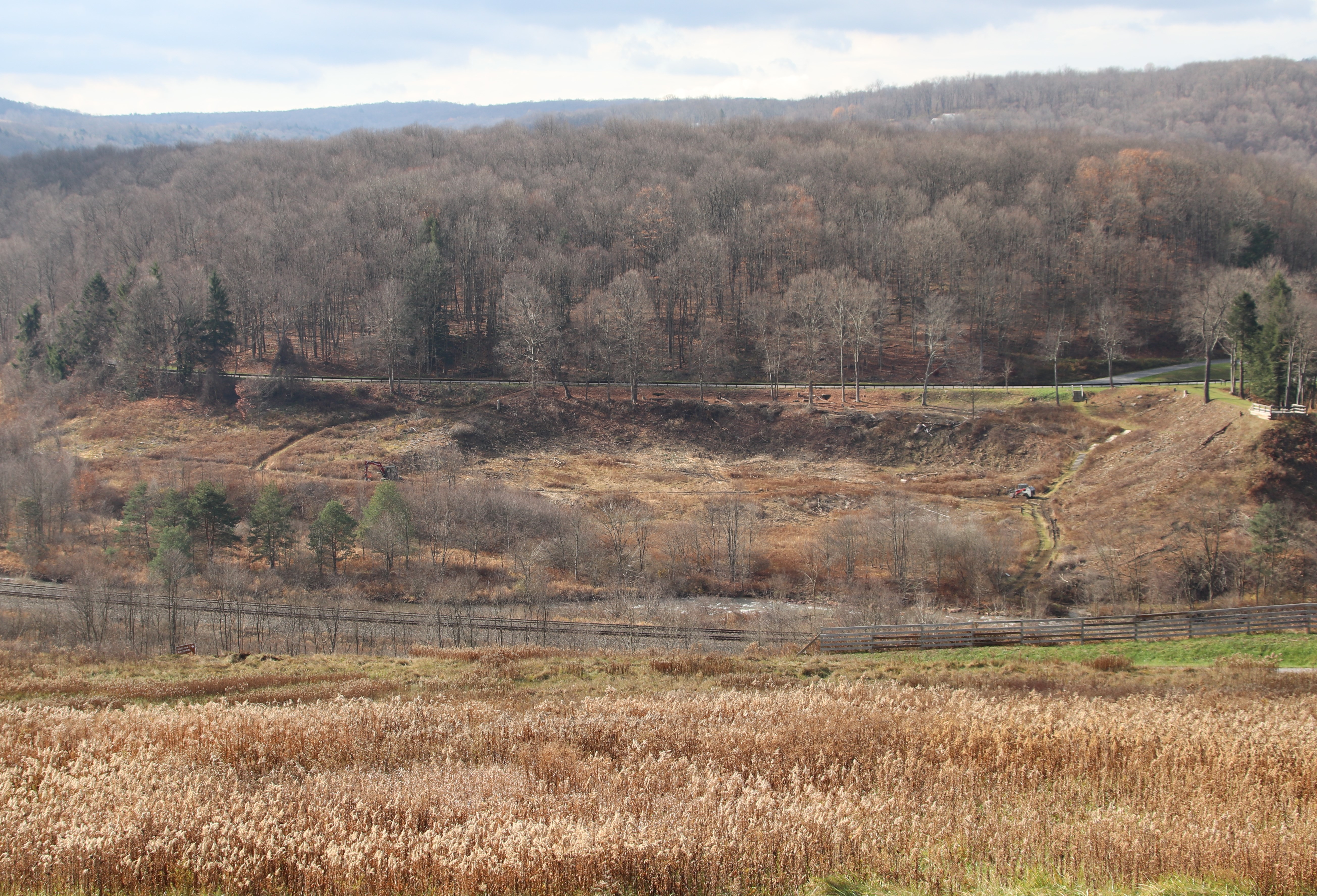 Russell Tree Experts - Johnstown Flood National Memorial (U.S. National Park Service)