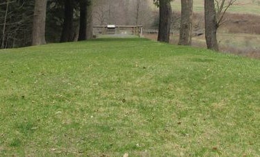 A grassy walkway