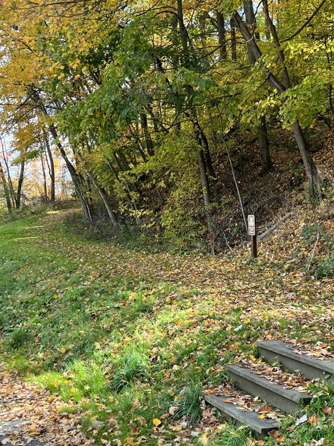 Wooden steps leading to the carriage road trail in the fall.