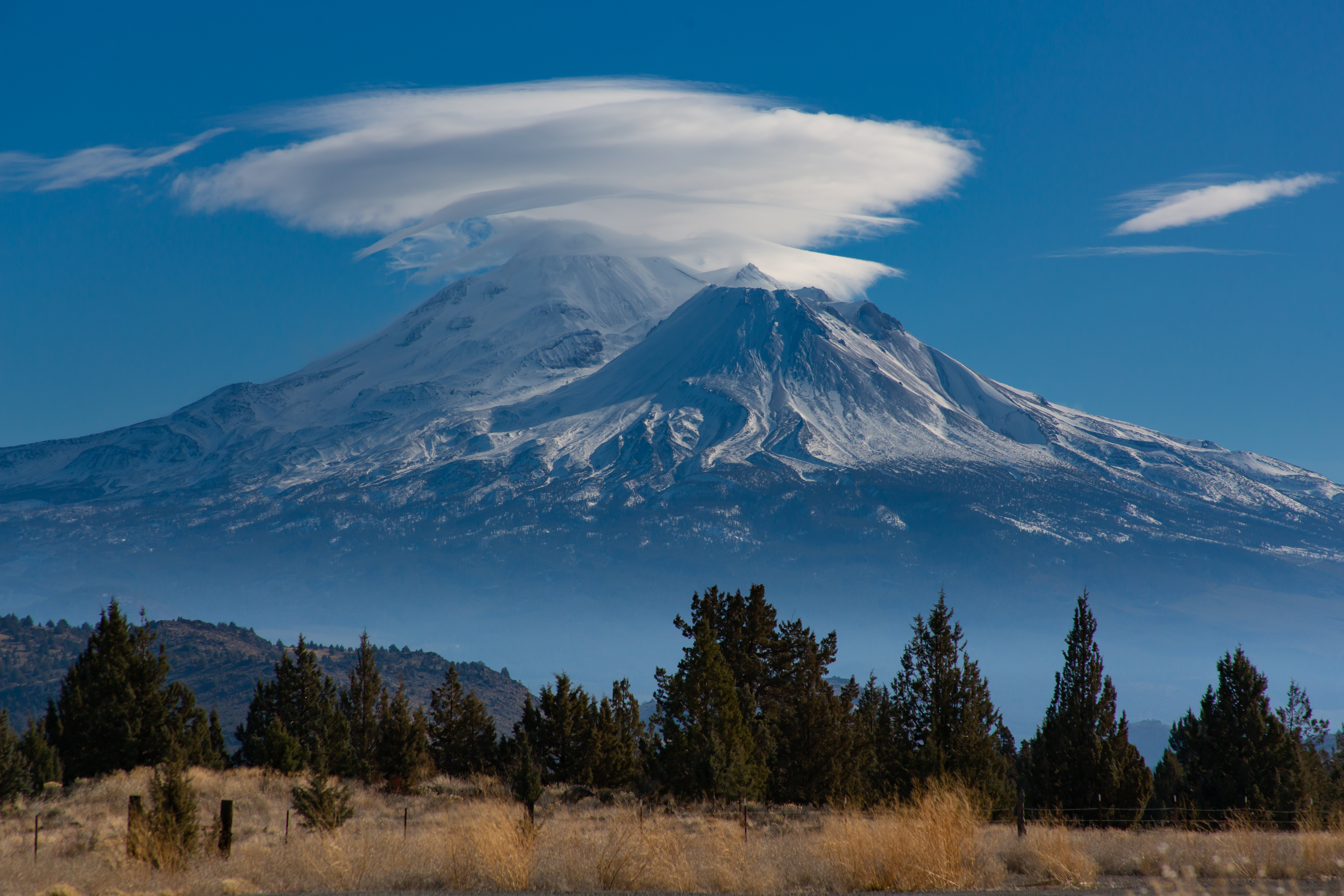 Shasta mountain discount