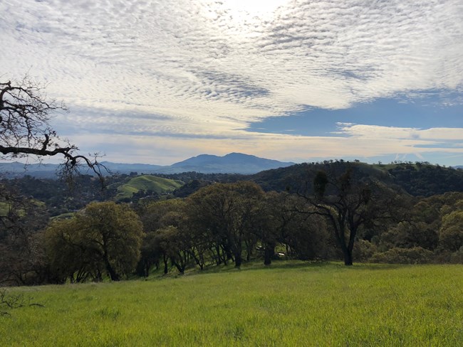 Circling clouds in a clear sky over the trees and green grass of Mt. Wanda.