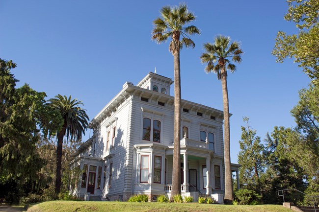 The two store Muir house sits amongst the trees. sidewalk leads to porch steps.