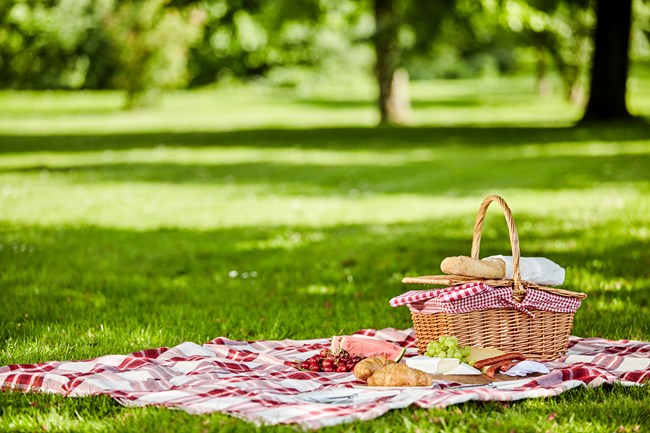 A picnic setup on a red-and-white checkered blanket, featuring a wicker basket, bread, grapes, cheese, and croissants, placed on a grassy lawn with trees in the background.