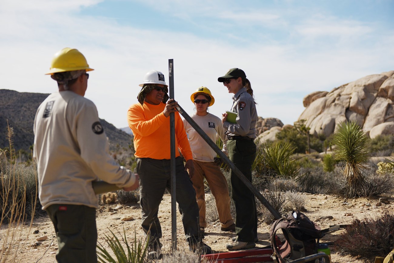 Three volunteers and one park ranger work on a fence