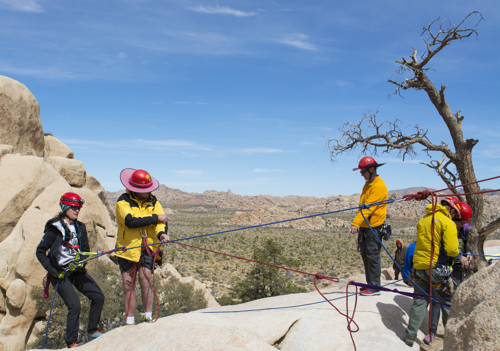 Search and Rescue - Joshua Tree National Park (U.S. National Park Service)