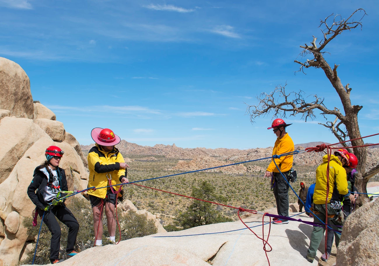 Search and Rescue Technical Training Four people in a system of ropes and anchors are training how to rappel down a rock face during a search and rescue technical training.