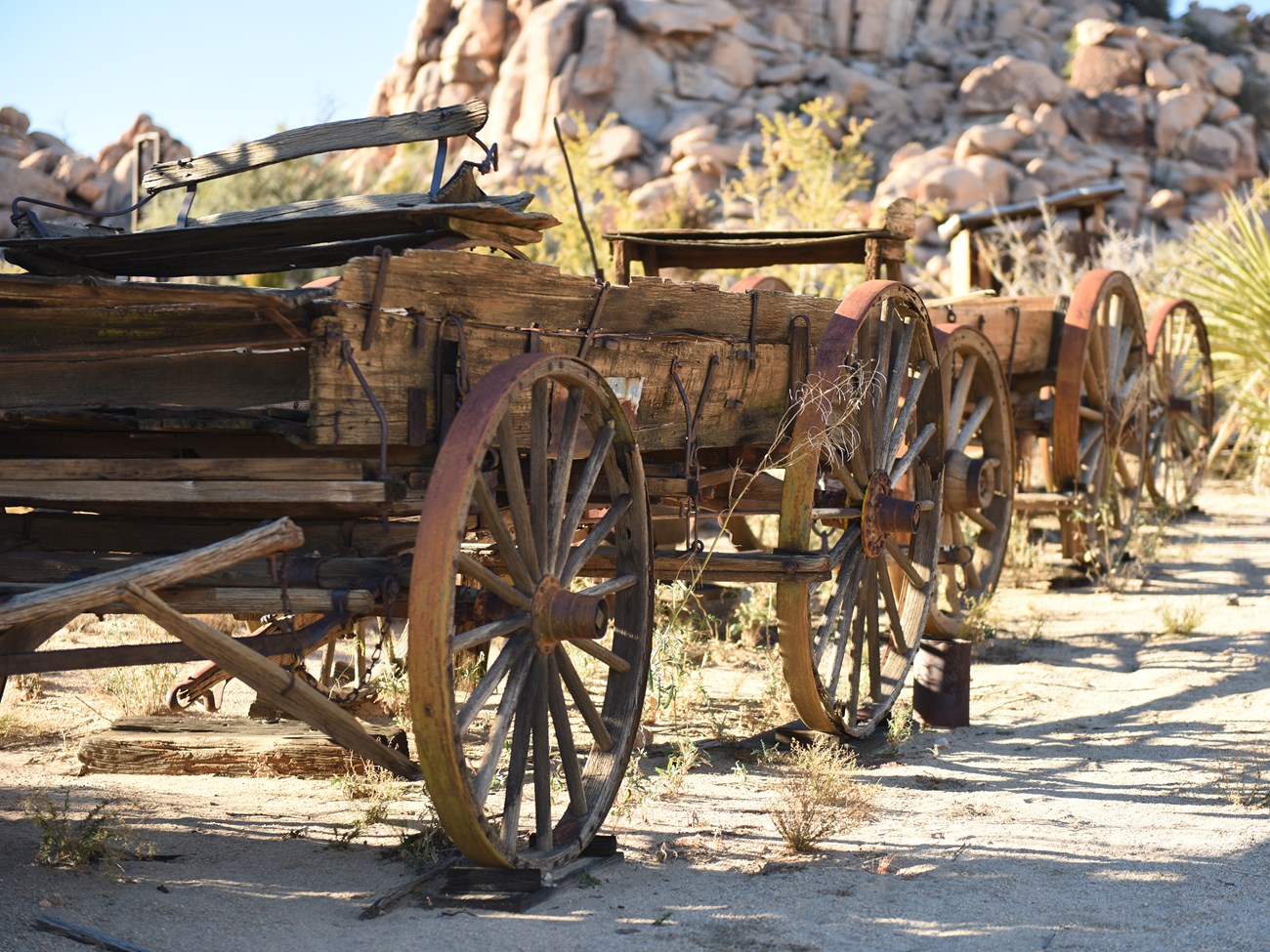 Wagon wheels at Keys Ranch Color photo of old-time wagon wheels in a line. NPS / Hannah Schwalbe