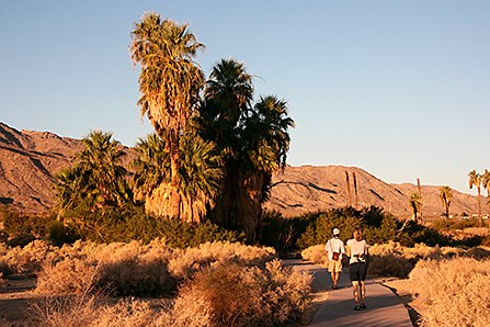 Oasis of Mara - Joshua Tree National Park (U.S. National Park Service)