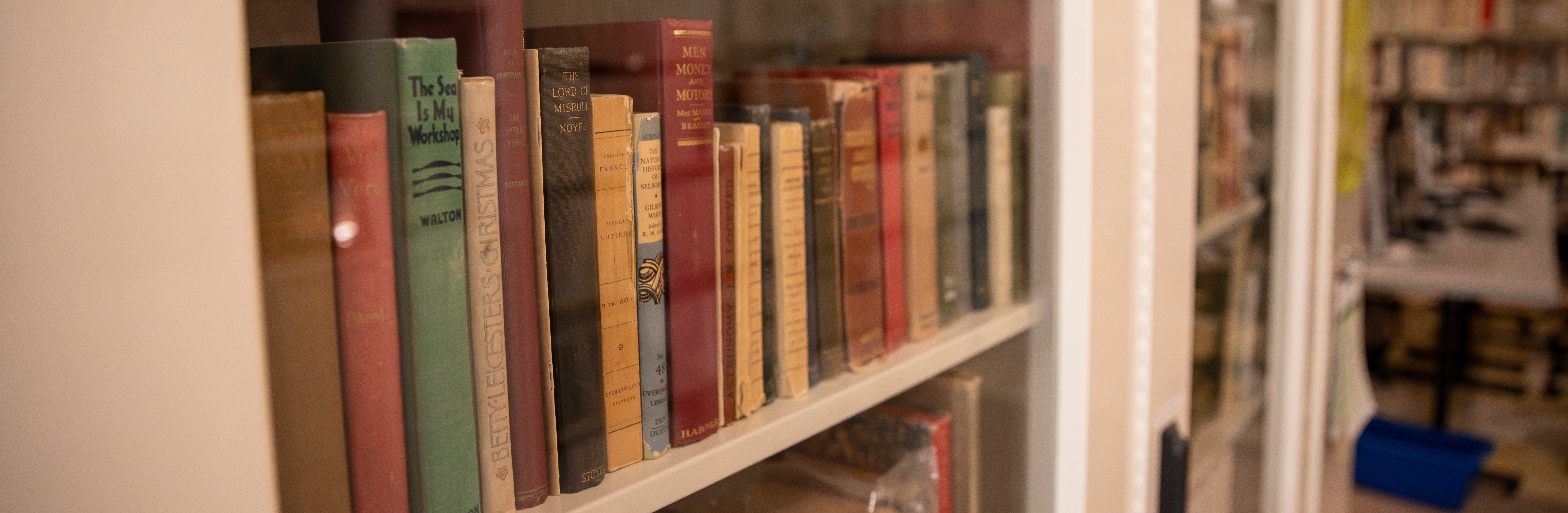 Row of books on a shelf