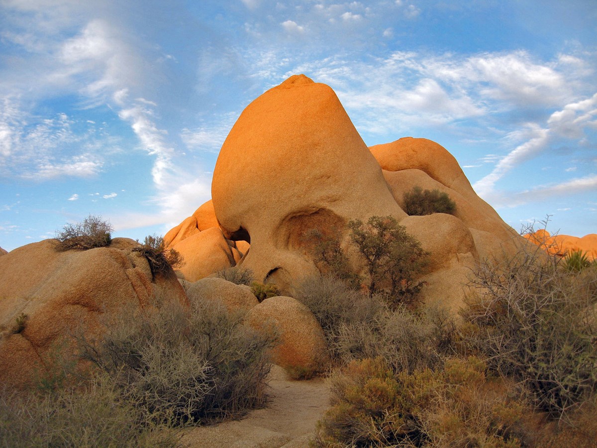 Skull-shaped rock formation surrounded by small brush, with a blue sky in the background. Photo: NPS / Robb Hannawacker