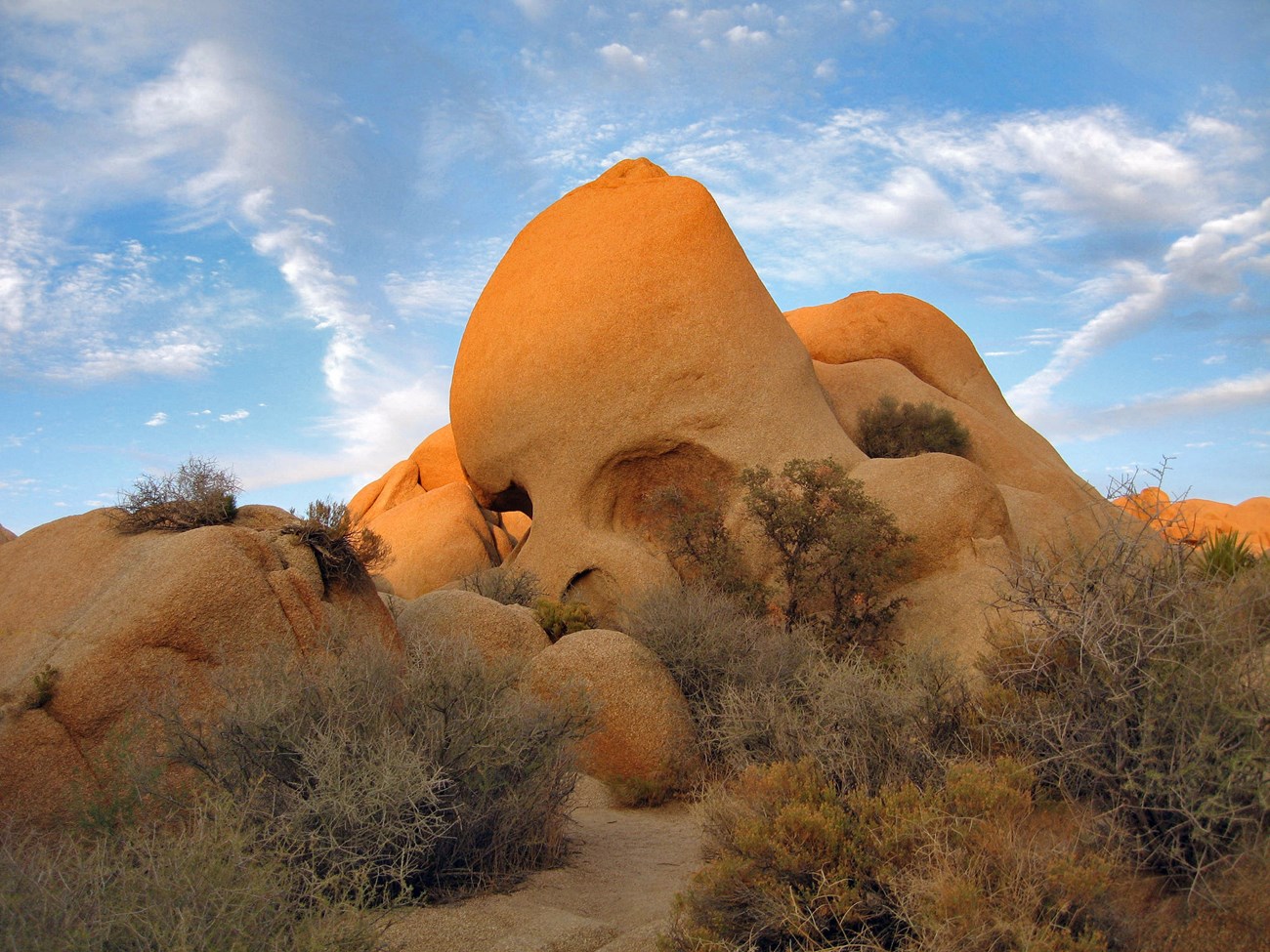 Skull-shaped rock formation surrounded by small brush, with a blue sky in the background. Photo: NPS / Robb Hannawacker