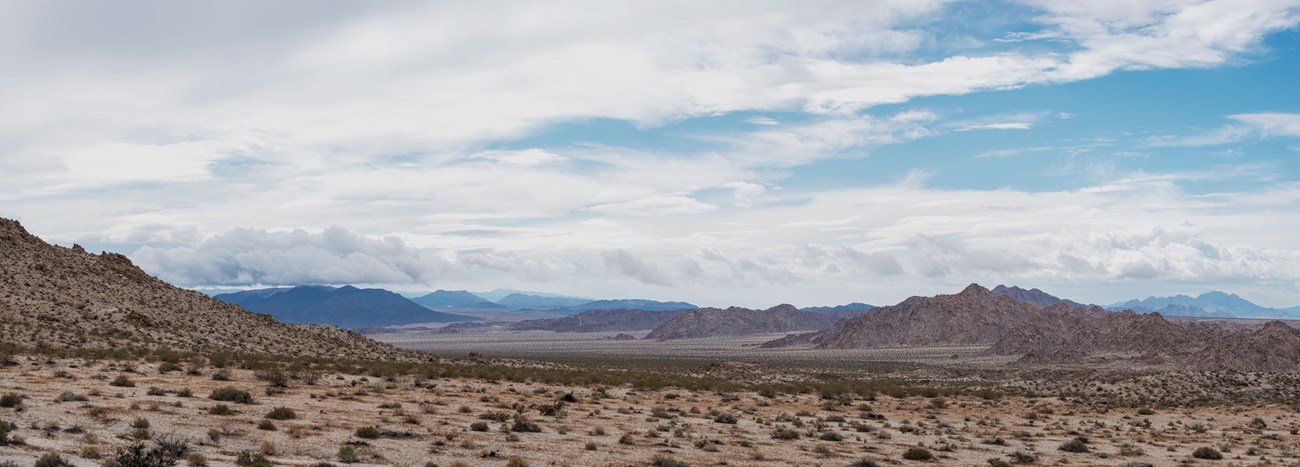 Color panoramic photo of the Coxcomb Mountains cascading into the distance with light clouds in the sky.