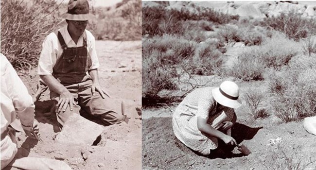 Elizabeth and William Campbell digging for fossil remains