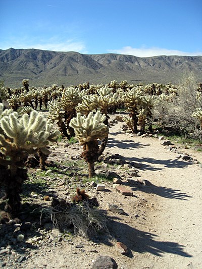 habitat