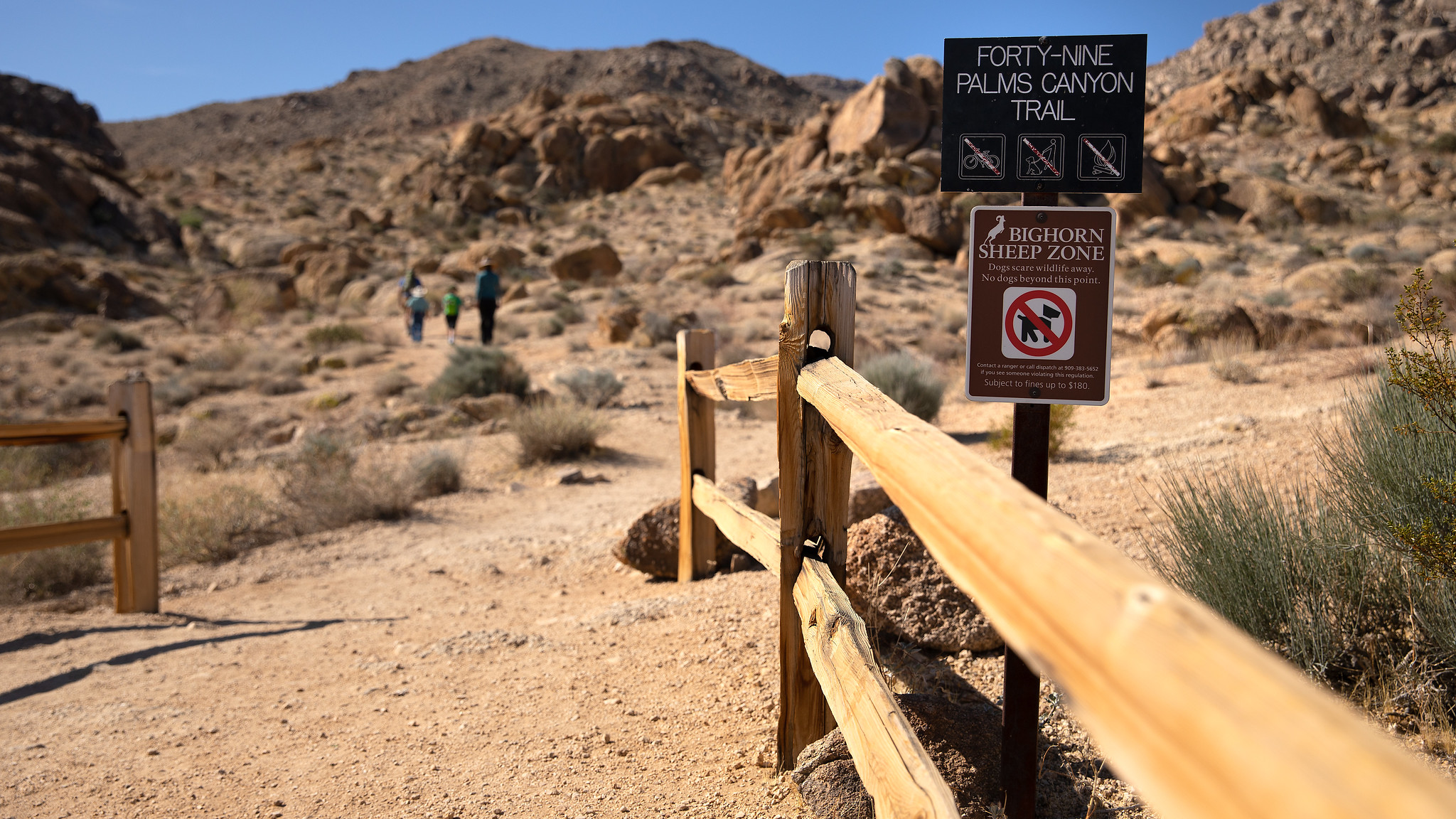 A trail head with a short wooden hand rail and two signs