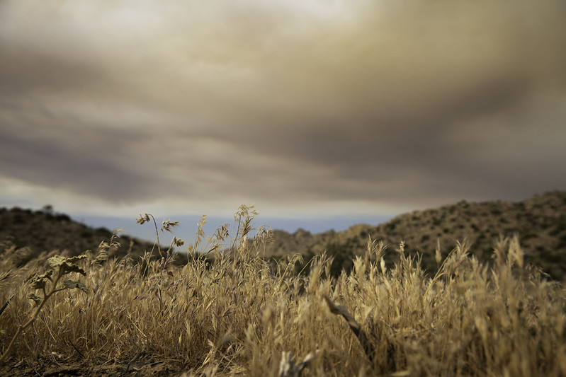 Plumes of red, purple, and brown smoke cloud the air over a field of dried invasive cheatgrass and invasive red brome.