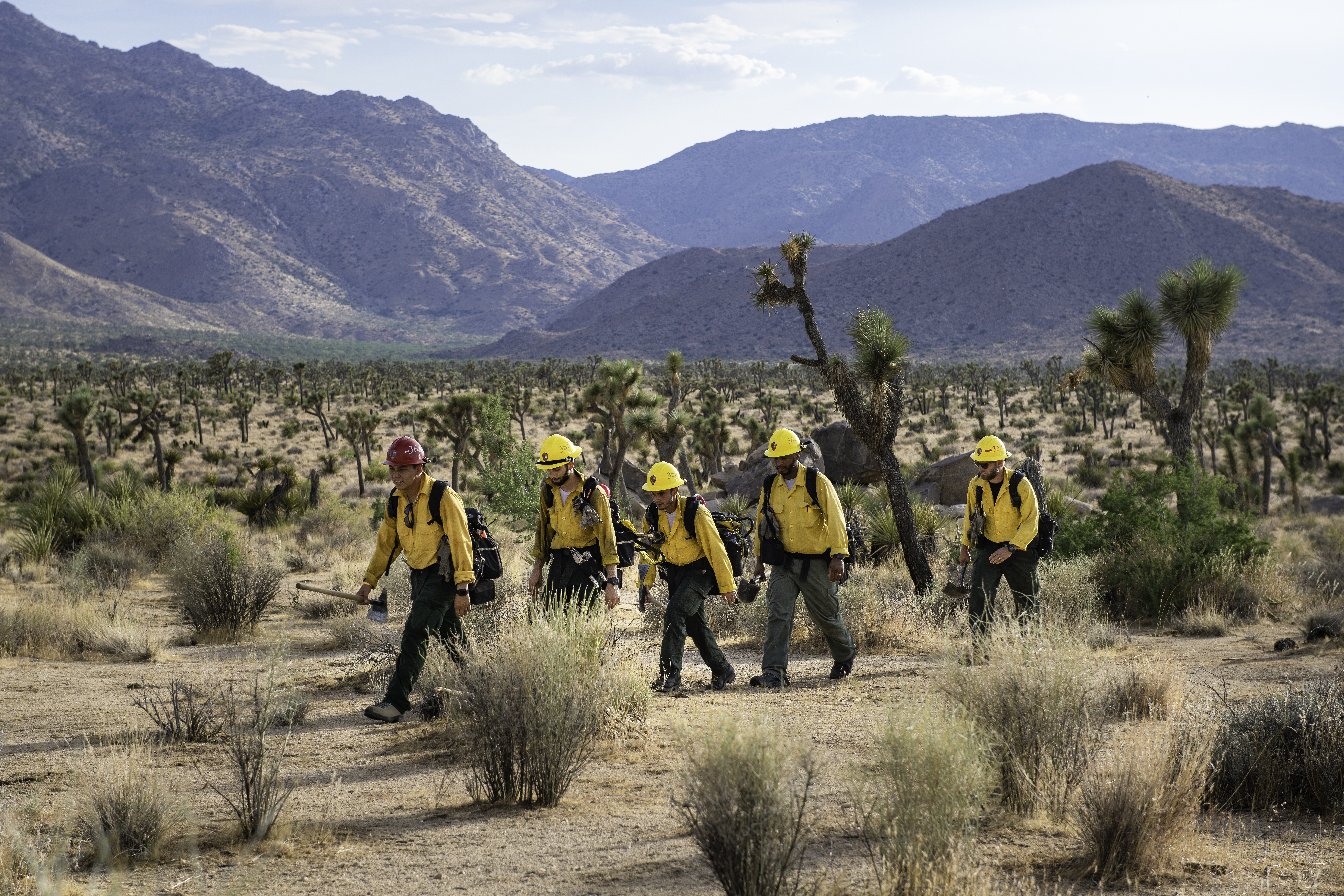 Wildland Firefighter Crew A crew of wildland firefighters in yellow Nomex turnouts hike across a desert landscape.