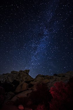 A star filled night sky.