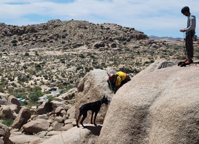 Dog rescued from rocks by Search and Rescue team A dog and two people in search and rescue helmets and gear stand on top of a tall boulder pile.