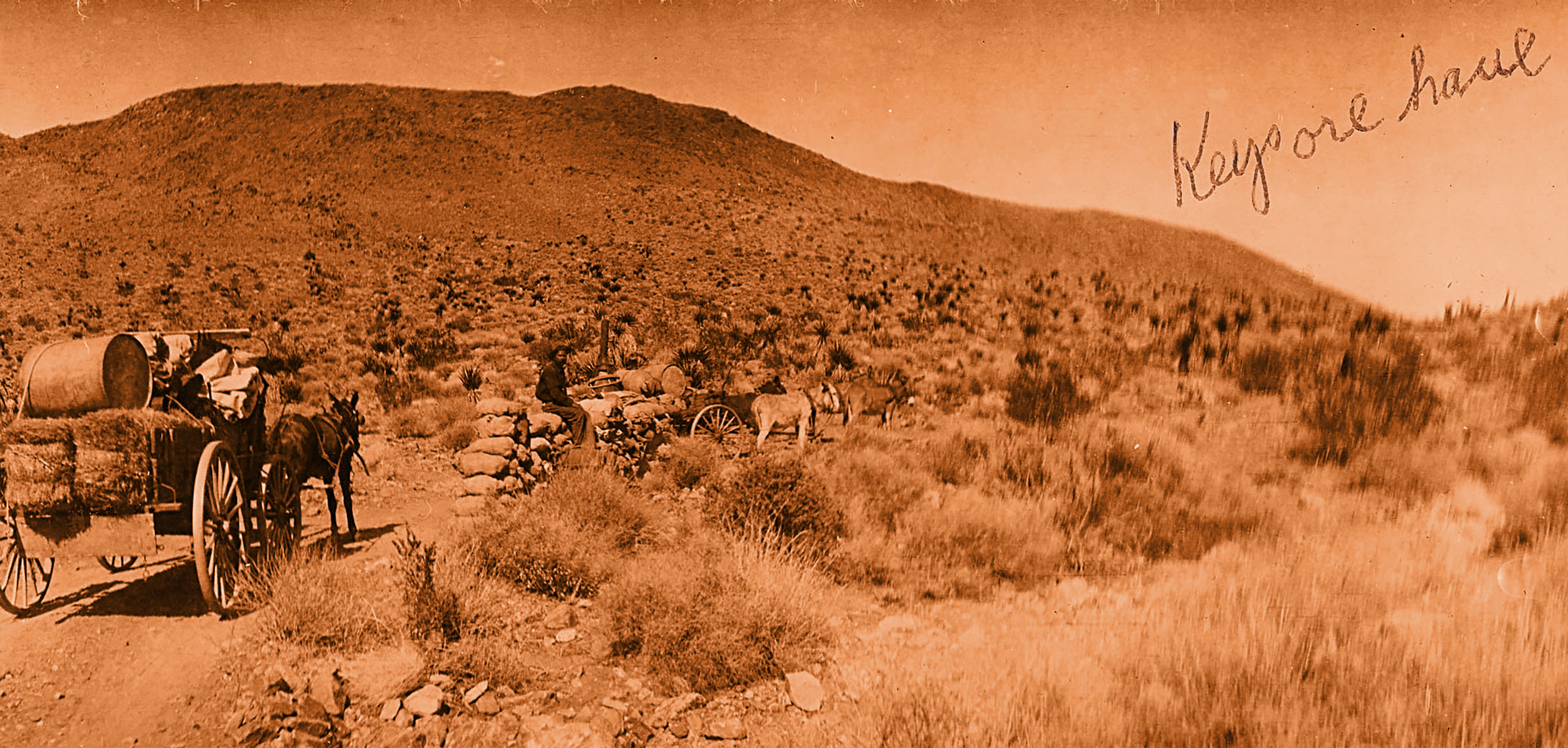 A sepia photo of a carriage on a dirt road with a mountain in the distance