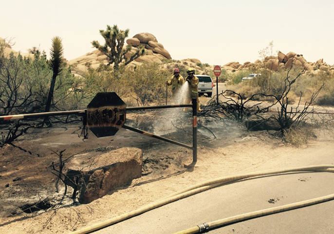 two firefighters spray water onto charred ground