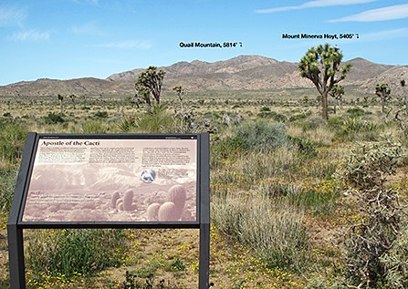 Mount Minerva Hoyt