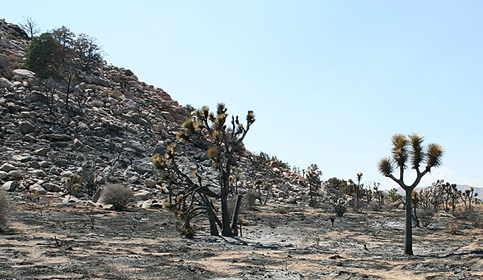 Quai Fire Burn Area