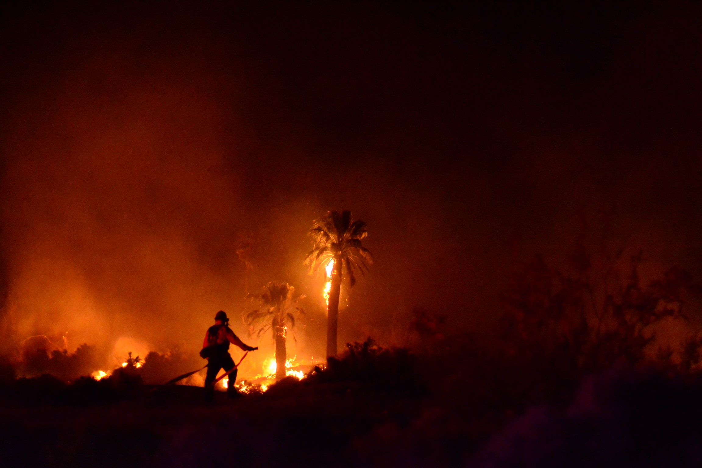 Oasis of Mara Fire Night photo of palm trees ablaze from a fire in the Oasis of Mara. Photo credit: Steve Raines