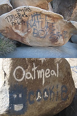 Defaced Rocks in Rattlesnake Canyon Defaced Rocks in Rattlesnake Canyon