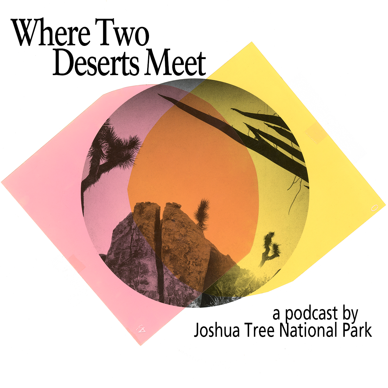 Words on the logo say, Where Two Deserts Meet a podcast by Joshua Tree National Park with an image of a rock formation and johua tree