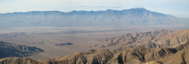 Desert landscape