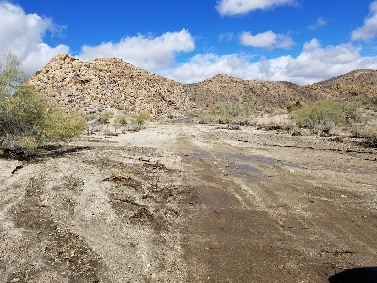 Pinto Basin Road covered in dirt Color photo looking down Pinto Basin Road near Cottonwood Visitor Center. The road is completely obscured by dirt, gravel, and boulders washed onto the road during a flash flood October 12th.