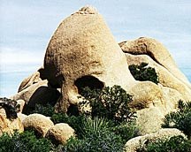 family campgrounds California skull rock