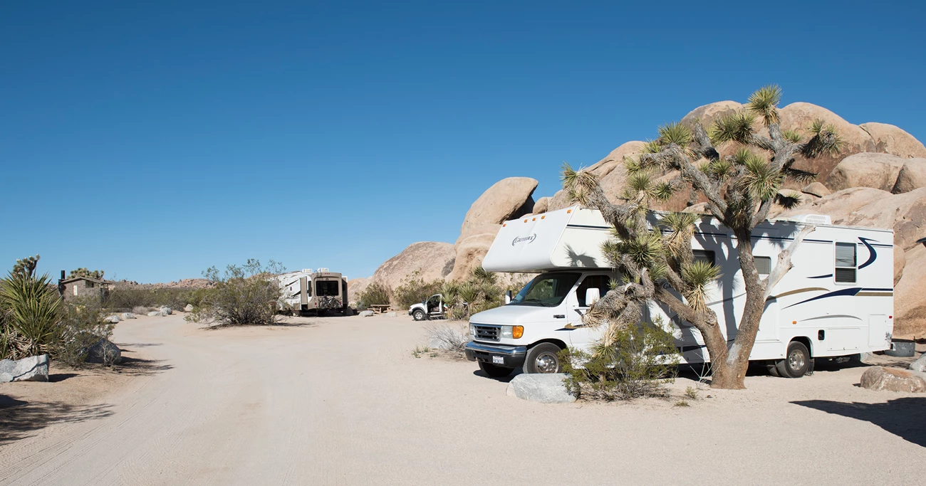 Belle Campground site Color photo of RVs in sites at Belle Campground with rock formations and Joshua trees nearby. NPS / Hannah Schwalbe