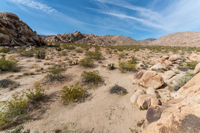 A backcountry campsite in a desert landscape