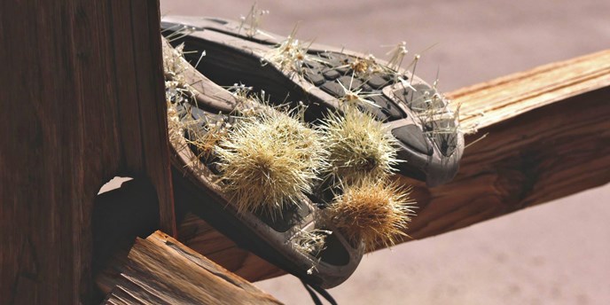 two lightweight shoes upside-down on a fence rail, with many cactus spines embedded in them