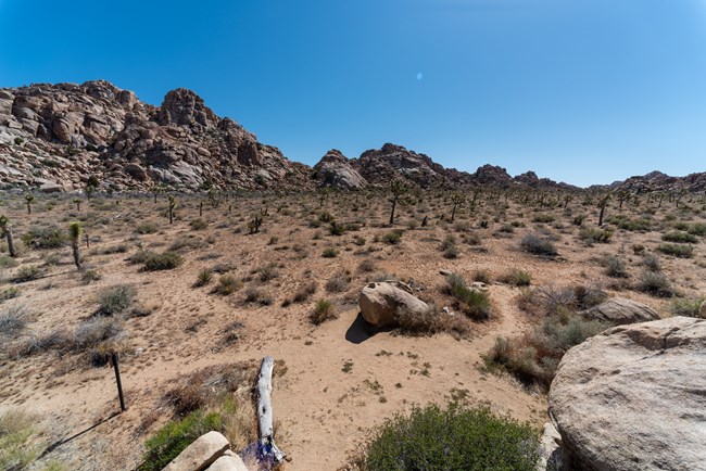 A backcountry campsite in a desert landscape with boulders, mountains, and desert vegetation