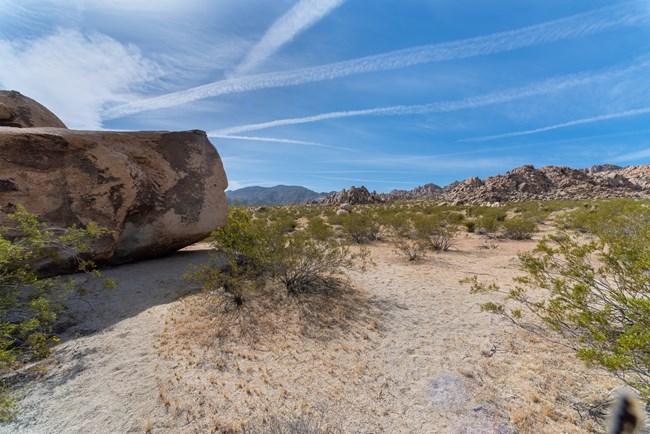 A backcountry campsite in a desert landscape with mountains and vegetation