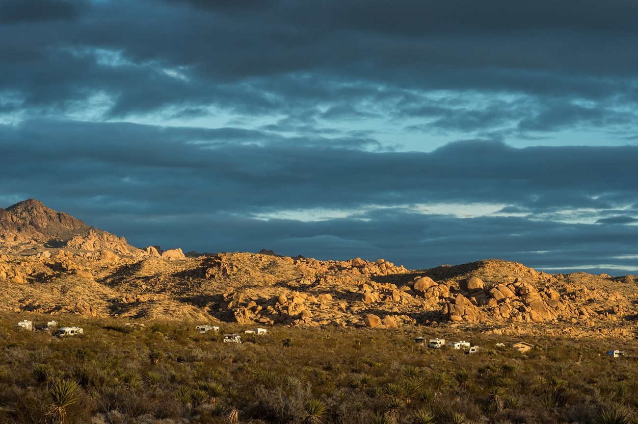 Color photo of evening light on Cottonwood Campground by NPS / Kurt Moses.