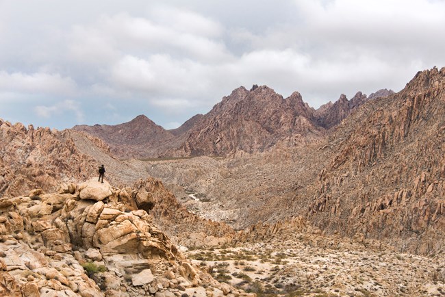 A hiker looks out over an expansive rocky landscape