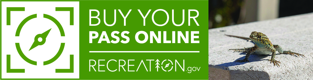 The words "Buy Your Pass Online Recreation.gov" with a compass graphic. On the right side, a photo of a lizard.