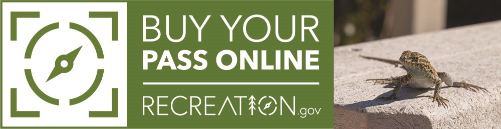 The words "Buy Your Pass Online Recreation.gov" with a compass graphic. On the right side, a photo of a lizard.
