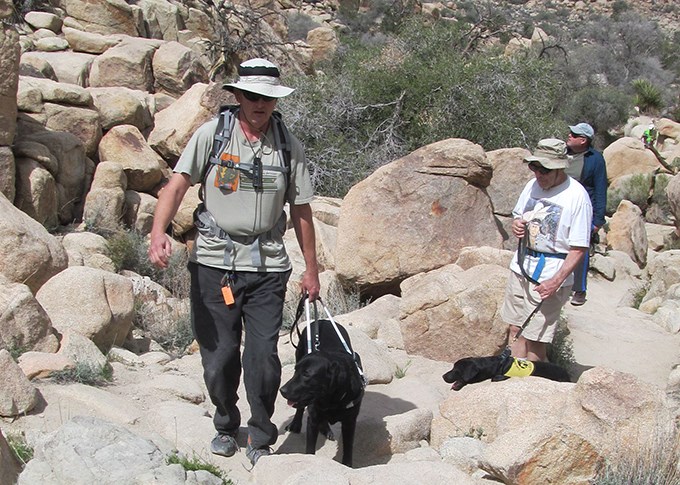 three hikers and two service animals hike among rocks on the Hidden Valley Nature Trail