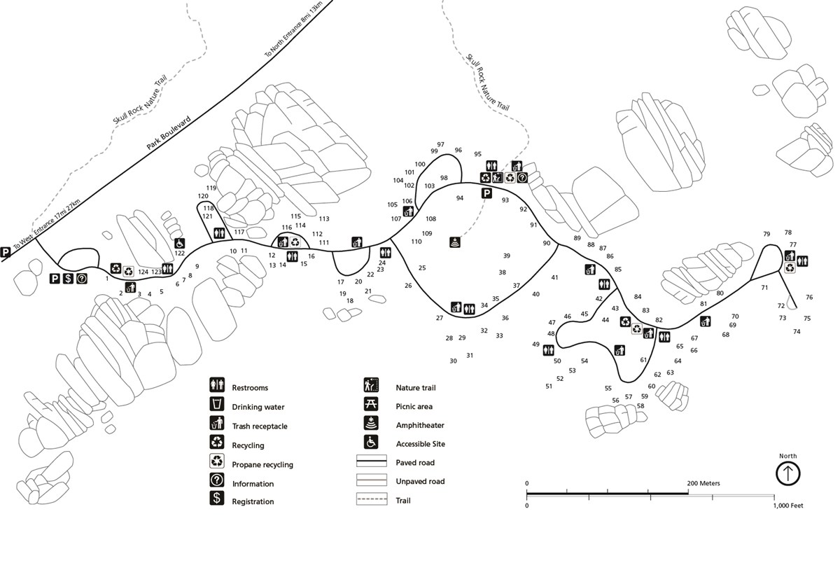 Camping in Joshua Tree National Park The Ultimate Guide to All 9 Campgrounds » The Parks Expert