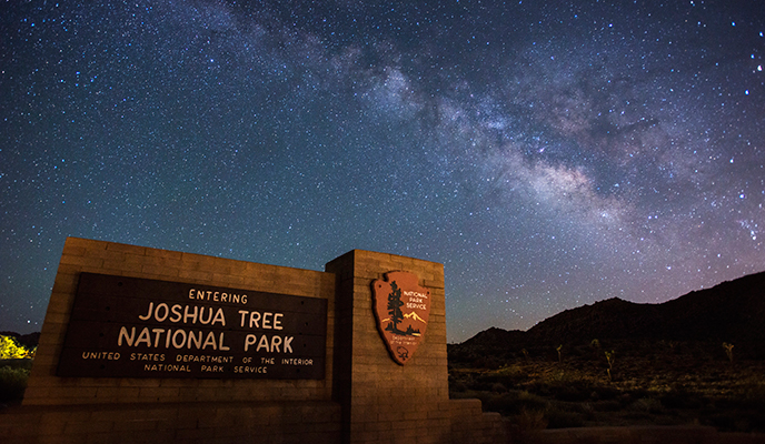 Resultado de imagen de joshua tree national park