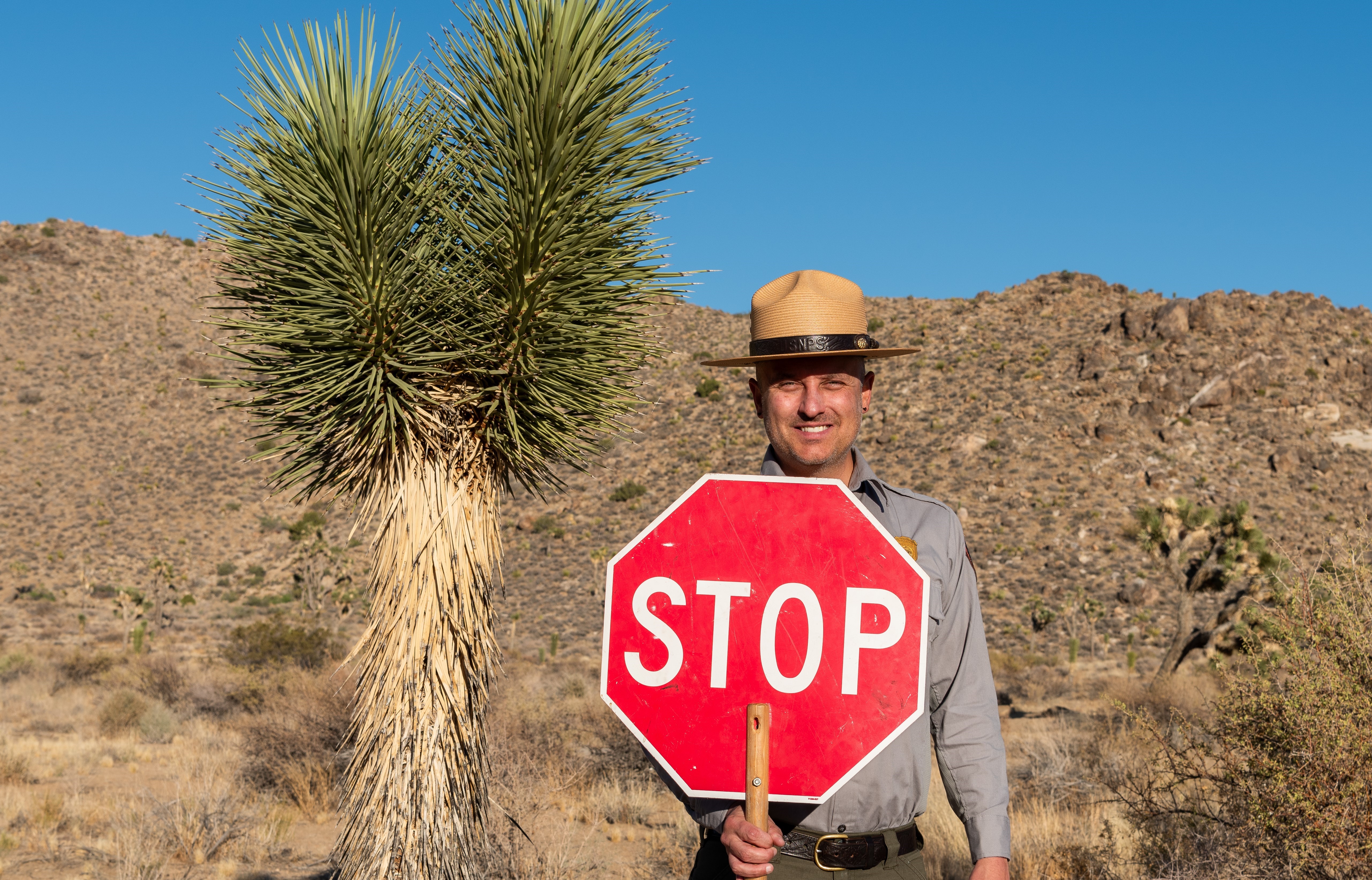 Visiting During the Busy Season - Joshua Tree National Park (U.S. ...