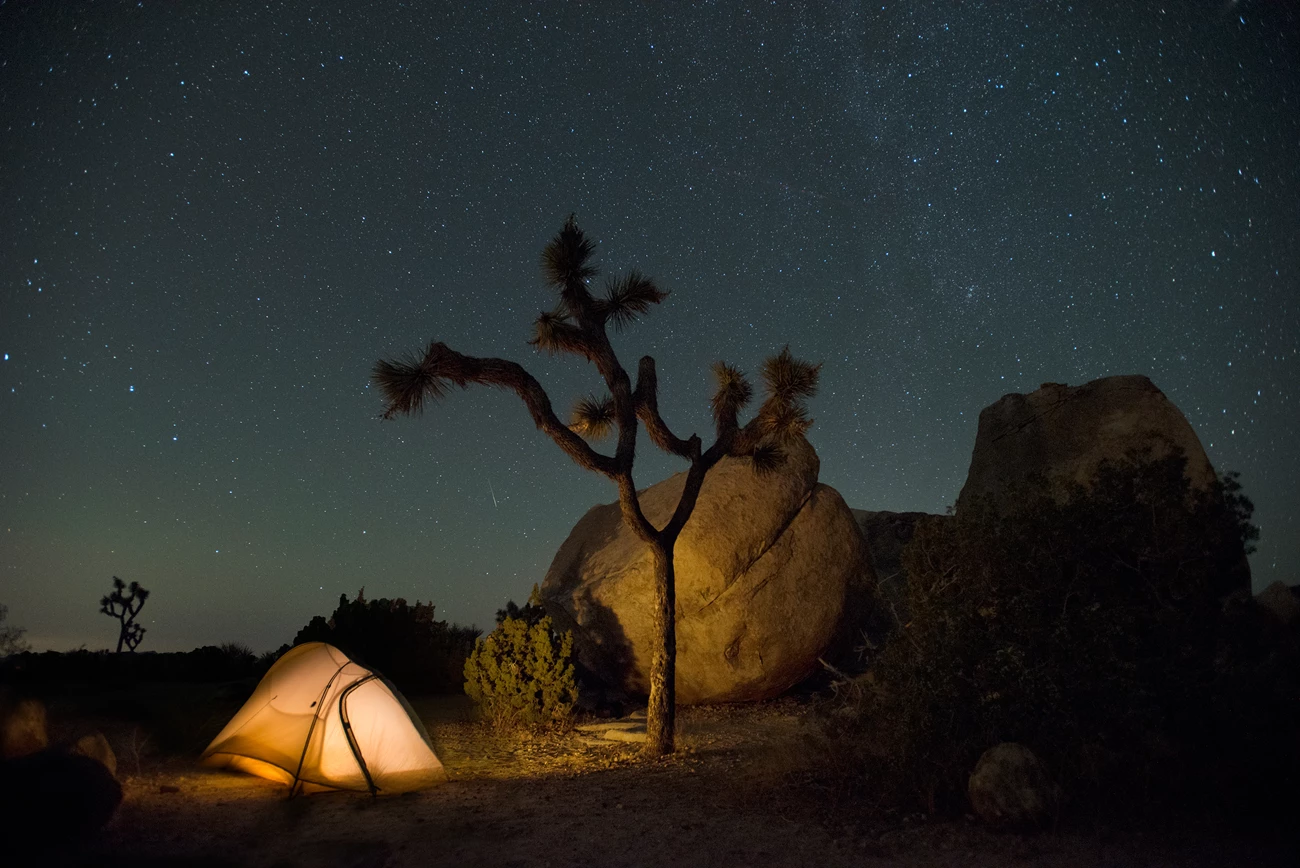 Ryan Campground site at night Color photo taken at night with a tent, Joshua tree, and night sky. NPS / Hannah Schwalbe