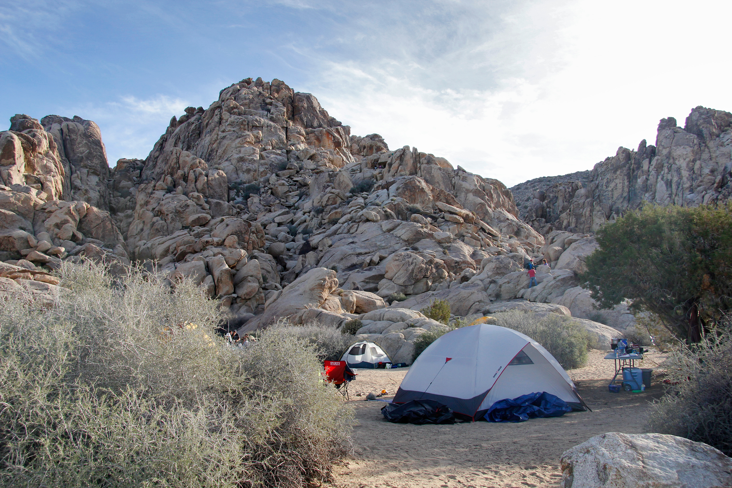 blm camping joshua tree reddit